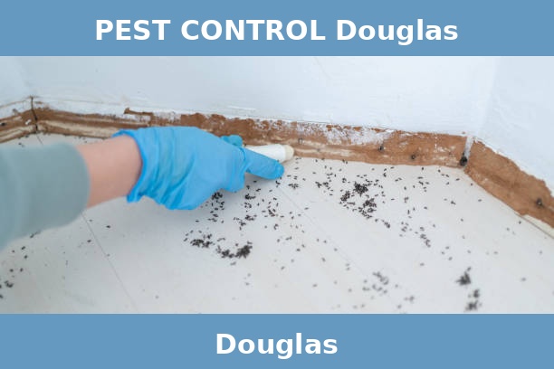 PEST CONTROL Douglas
